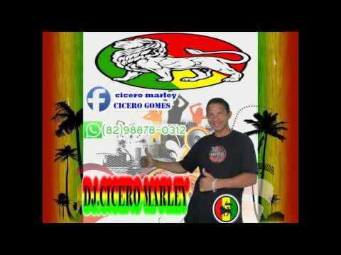 Paula Cendejas   Despacito Theemotion Reggae Remix