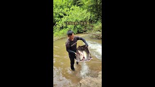 ##葫芦娃大作战 ##抖音小游戏