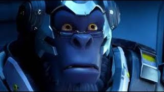 【ランク】タンクのパワーでゴリ押し。勝率２０００％【PC】【オーバーウォッチ2】【Overwatch2】