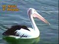 1 Born Free Matt Monro Karaoke Videoke