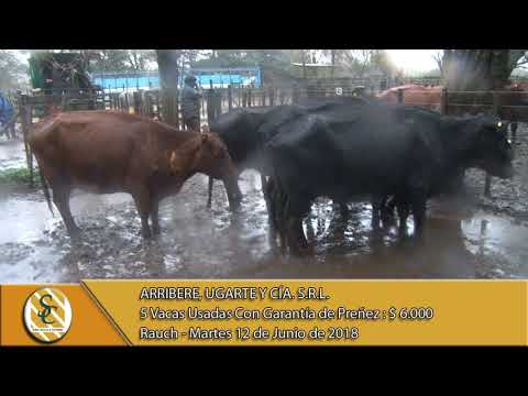 12-06-18 Venta de Vientres - Arribere, Ugarte y Cía. S.R.L. - Rauch