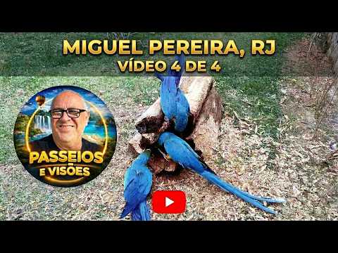 Foi muito agradável chegar perto delas! Parque Animal Miguel Pereira Thumbnail de Foi muito agradável chegar perto delas! Parque Animal Miguel Pereira