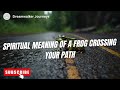 Spiritual Meaning Of A Frog Crossing Your Path Spiritual Meaning Of Frogs