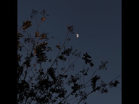 [FREE] MACAN x Xcho x Ramil' x Type Beat - "Звонки" | Бит в стиле Макан