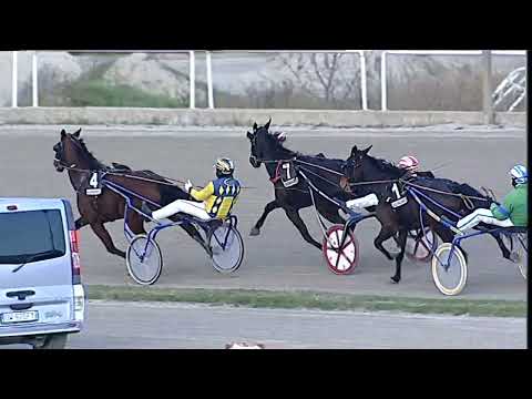 Napoli Trotto 30/12/2022 - 5ª corsa