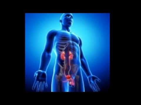 Recensioni neovir prostatite Preparati contenenti zinco prostatite