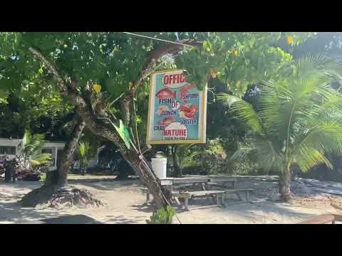 The Office of Nature on Bloody Bay in Negril, fresh seafood and live music #ร้านอาหารแนะนําที่เจเมกา