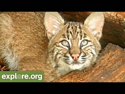 Snapshots of the Week!