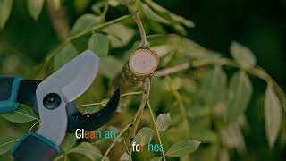 GARDENA TeleCut PRO L (12041-20)