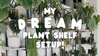 the LAST and FINAL living room plant shelf setup 🙃😮💨
