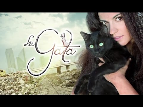 Abertura A Gata (letra e tradução)
