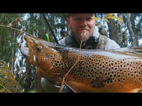 Stor ørreten | Årets siste fisketur