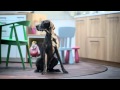Every Meal Is A Special Occasion IKEA Wonderful Everyday TV Advert