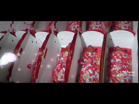 HEO QUAY SỮA ĐÃI TIỆC