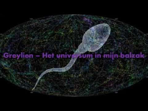 Greylien   Het universum in mijn balzak