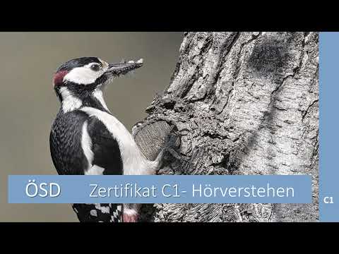 Hörverstehen Niveau C1 ÖSD Modellsatz Teil 1