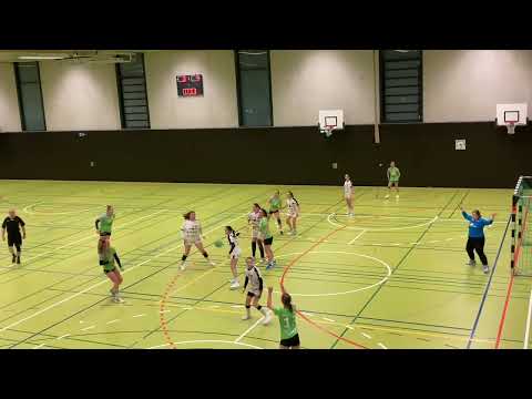 F-BL: TSG Ailingen - HC Hohenems 29:21 (14:9)