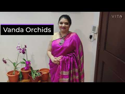 Vanda Orchids: Light, Water , Humidity and other care requirements