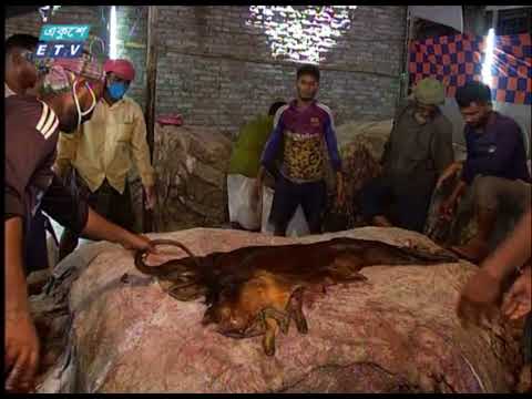 চামড়ার কাঙ্খিত দাম পায়নি মৌসুমী ব্যবসায়ীরা | ETV News