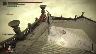 【PS5】エルデンリング DLC 実況なし #13