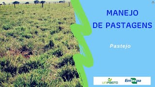 Pastejo — Manejo de pastagens | Série Pasto Certo