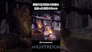 野良で生き別れの兄弟と出会った海外ニキｗｗ【ELDEN RING NIGHTREIGN】