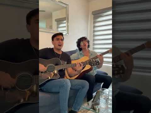 Imagen de malverde - Grupo trueque x Antonin Padilla 🤠