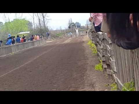 Adrianito vs flanders 2016 (Ganador Adrianito)