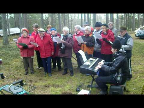 Gökotta i klusån 2010.mpg