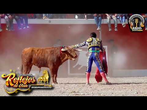 "REFLEJOS DEL ANDE" PRIMICIA 2026 EN TU CORAZÓN DESDE HUAQUIRCA-ANTABAMBA - APURÍMAC.