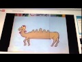 Barney S Animals In Motion