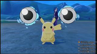 【ポケモンソード】使えるボールはモンスターボールのみの旅【エンジンシティに戻るところから】