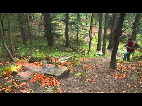 Gravity Revolt ( Downhill )