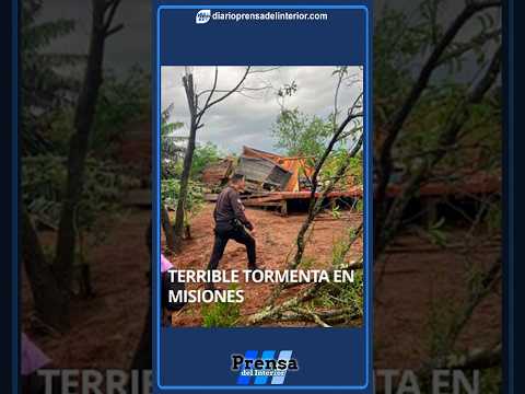 🌧️💨 TRAGEDIA EN MISIONES: UN AGRICULTOR MURIÓ TRAS UN FUERTE TEMPORAL EN SAN PEDRO
