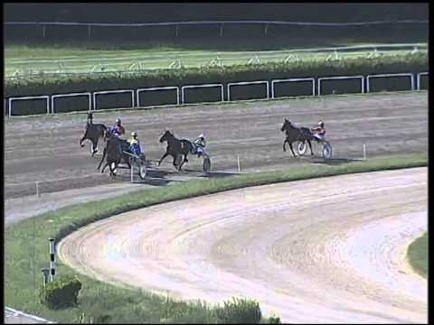 Trotto 28/09/2014 - 2° prova di qualifica