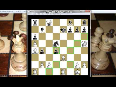 Rušenje Sicilijanske odbrane -  ADAMS vs SADLER #147 sah i mat