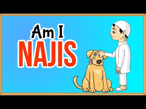 How a thing becomes Najis  - Islamic Law (7)