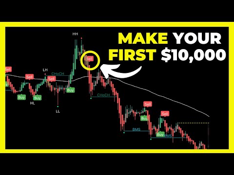 I Found The Best Trading Strategy For Beginners! (81% Win Rate)