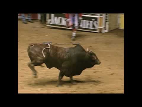 Durango bucks Clint Green - 00 PBR Ft. Worth