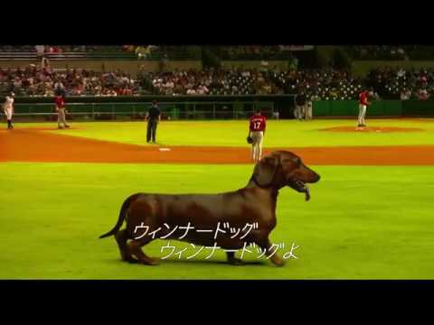 『トッド・ソロンズの子犬物語』インターミッション映像