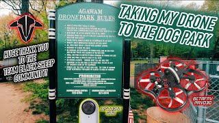 BetaFPV Pavo30 Insta360 Go2 Footage at Agawam Dog Park