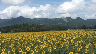 《地球防衛軍4.1》くっちゃべりながら