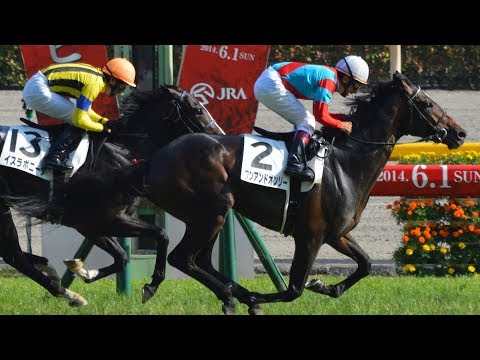 2014 Tokyo Yushun (Japanese Derby) G1 - One and Only (天下唯一) - N.Yokoyama (站前良馬中段拉停)