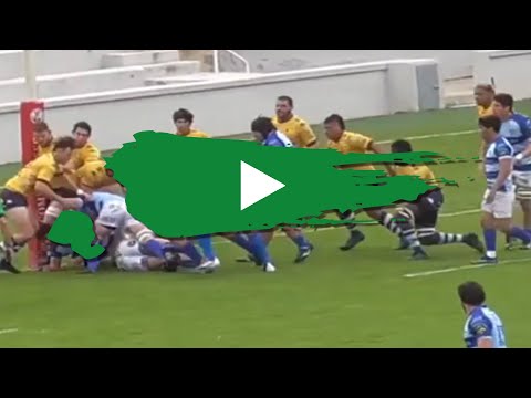 RESUMEN DH J17 - Cisneros v Ciencias