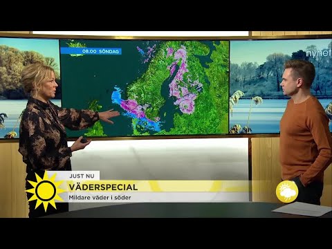 Väderspecial. Här är det varning för halka! - Nyhetsmorgon (TV4)