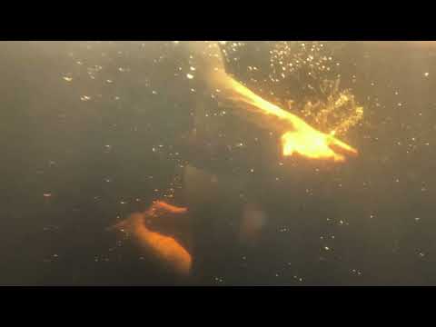 The Sei - Driver (Official Video)