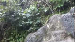 preview picture of video 'La Cumbrecita -Camino a la cascada-'