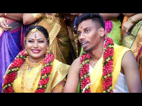 download lagu mp3 mp4 Celebration Of Love, download lagu Celebration Of Love gratis, unduh video klip Celebration Of Love
