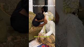 Download lagu belum ganti baju udah di gass‼️ #pengantin #wedding #pernikahan #shorts mp3