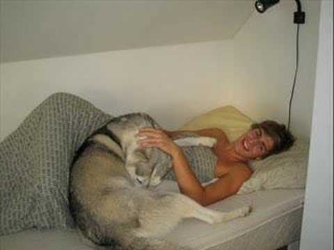 Niels Brinck - In The End I Started